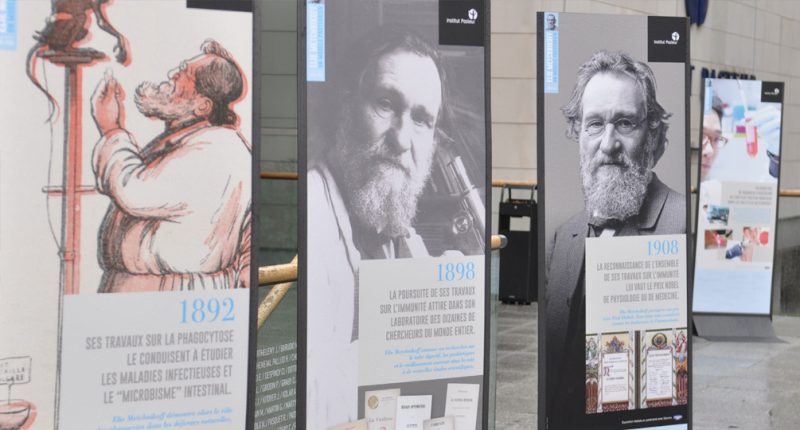 Marketing opérationnel - Institut Pasteur - Exposition centenaire d’Eli Metchnikoff 2016
