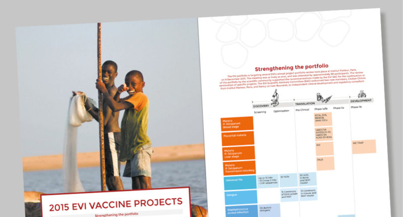 Rapport Annuel- European Vaccine Initiative - Rapport annuel 2015