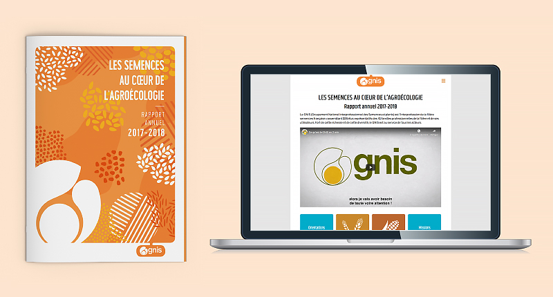 gnis-rapport-annuel-2017-2018-1
