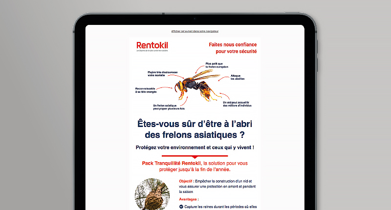 rentokil-newsletter-1